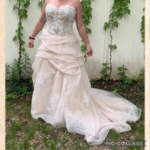 Eden Black Label sheer romantic strapless tulle wedding dress Size 12 NWT